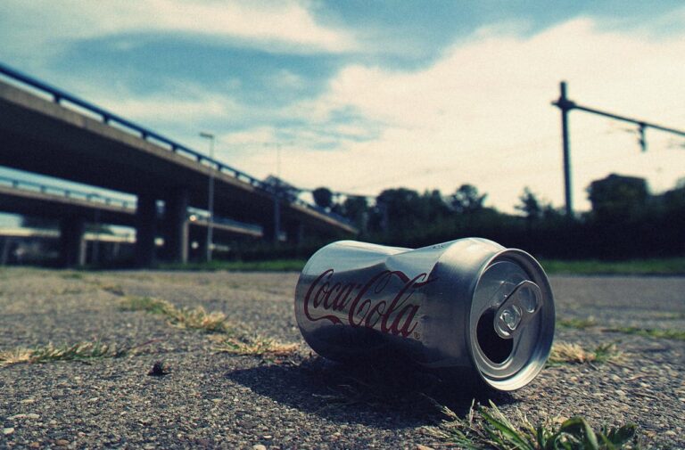 「捨てる」の英語表現を使い分けよう!throw awayとdispose ofの違いは? | 【Aitem】池袋校とオンラインの英会話スクール